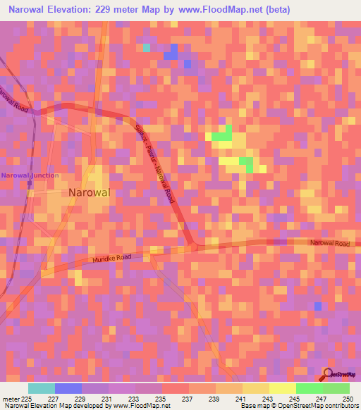 Narowal,Pakistan Elevation Map