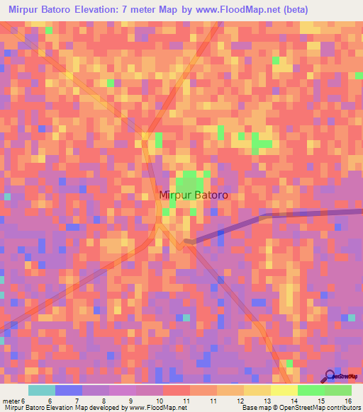 Mirpur Batoro,Pakistan Elevation Map