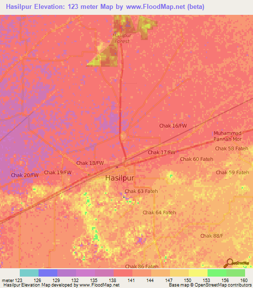 Hasilpur,Pakistan Elevation Map