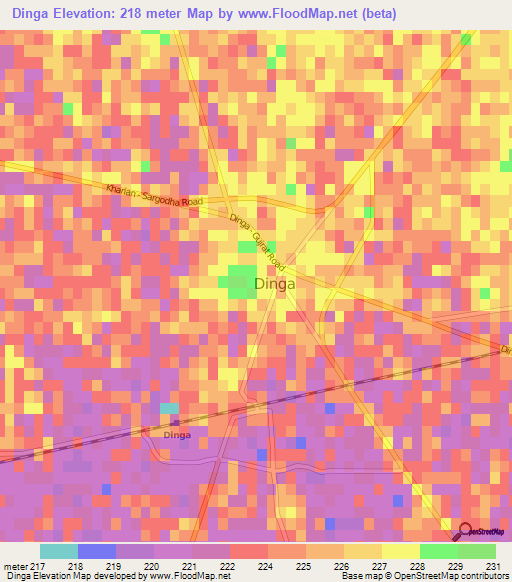 Dinga,Pakistan Elevation Map