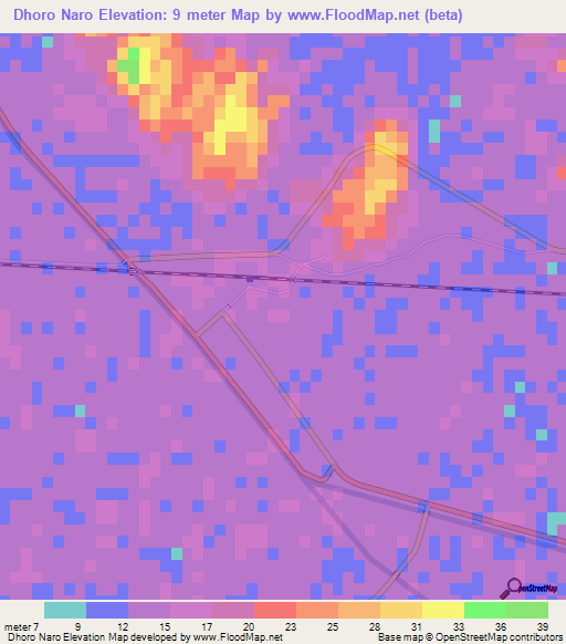 Dhoro Naro,Pakistan Elevation Map