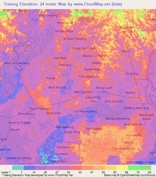 Trieeng,Indonesia Elevation Map