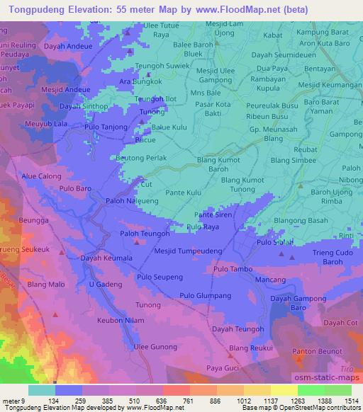 Tongpudeng,Indonesia Elevation Map