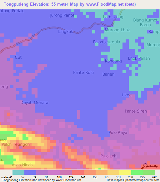 Tongpudeng,Indonesia Elevation Map