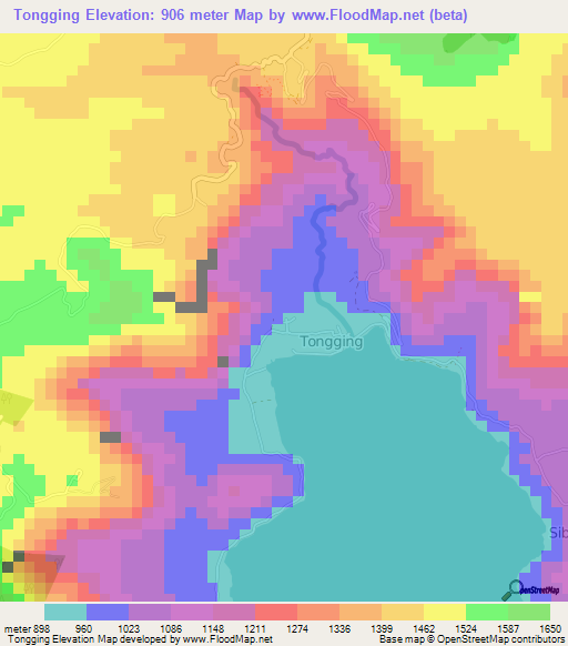 Tongging,Indonesia Elevation Map