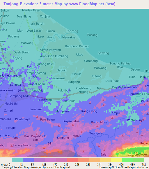 Tanjong,Indonesia Elevation Map