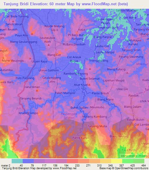 Tanjung Bridi,Indonesia Elevation Map