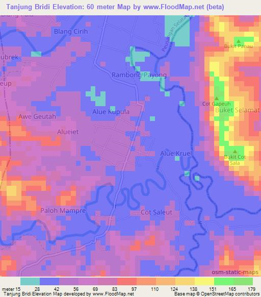 Tanjung Bridi,Indonesia Elevation Map