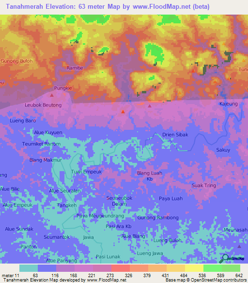 Tanahmerah,Indonesia Elevation Map