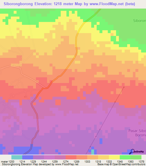 Siborongborong,Indonesia Elevation Map