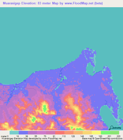 Muarasigep,Indonesia Elevation Map