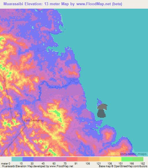 Muarasaibi,Indonesia Elevation Map