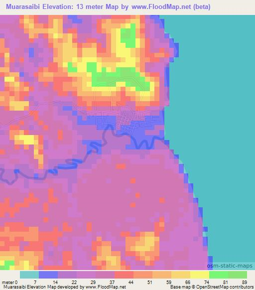 Muarasaibi,Indonesia Elevation Map