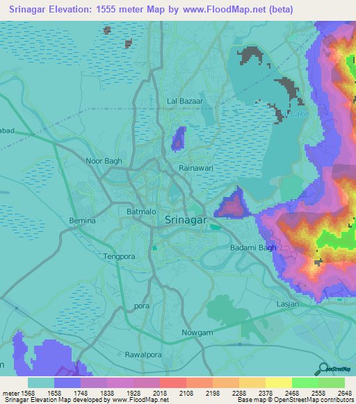 Srinagar,India Elevation Map