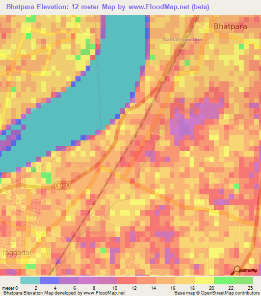 Bhatpara,India Elevation Map