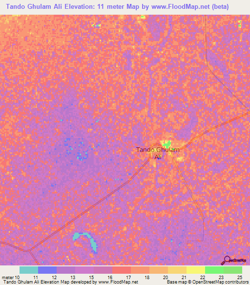 Tando Ghulam Ali,Pakistan Elevation Map