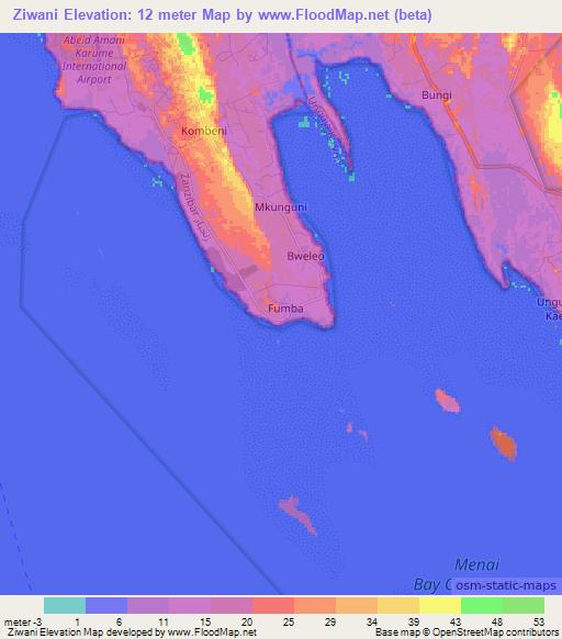 Ziwani,Tanzania Elevation Map