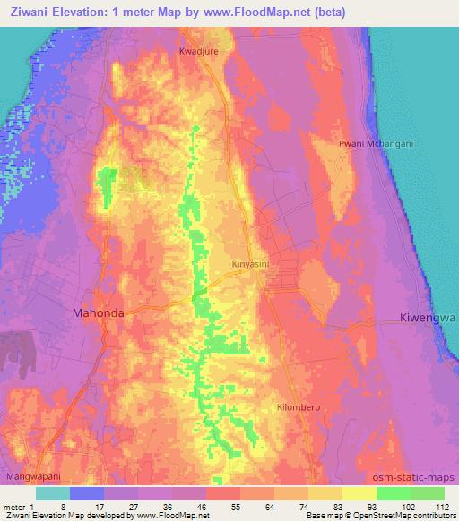 Ziwani,Tanzania Elevation Map