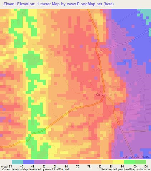 Ziwani,Tanzania Elevation Map