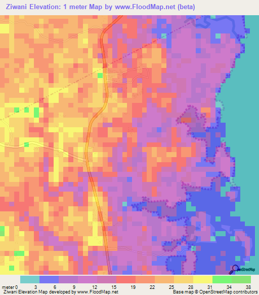 Ziwani,Tanzania Elevation Map