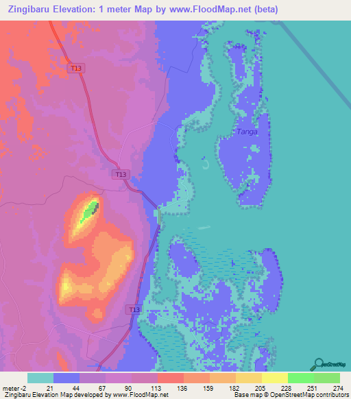 Zingibaru,Tanzania Elevation Map