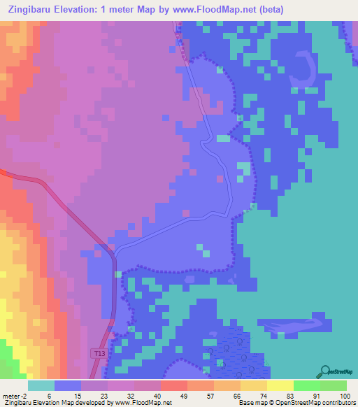 Zingibaru,Tanzania Elevation Map