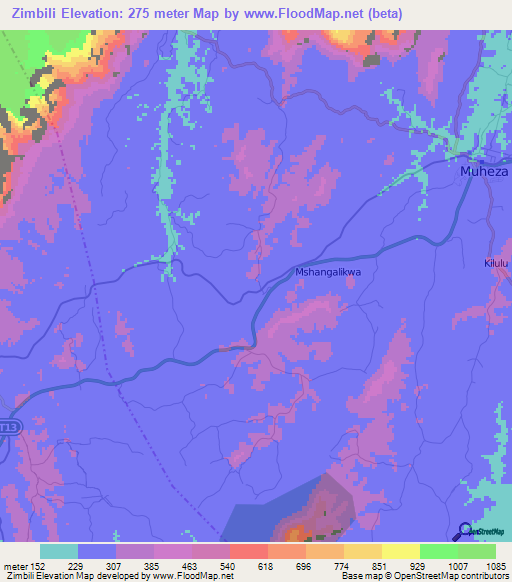 Zimbili,Tanzania Elevation Map