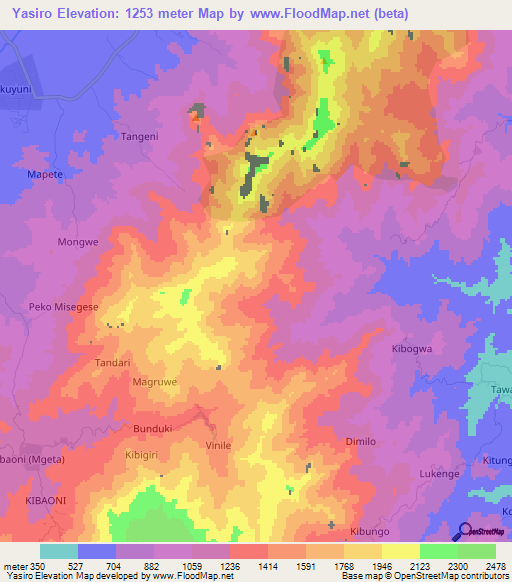 Yasiro,Tanzania Elevation Map