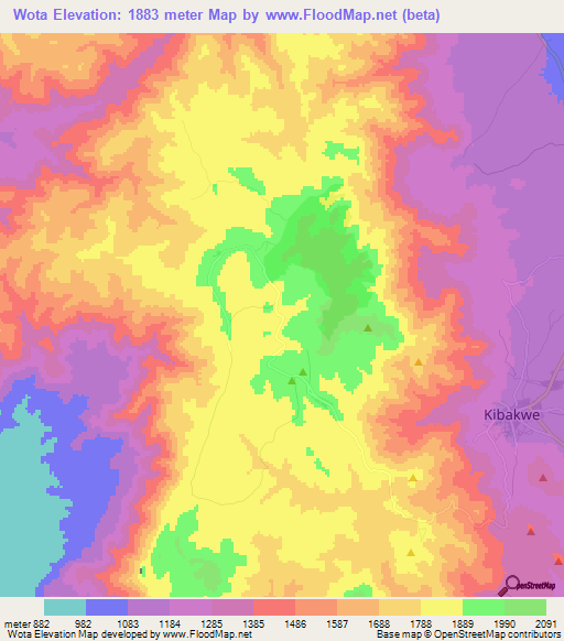 Wota,Tanzania Elevation Map