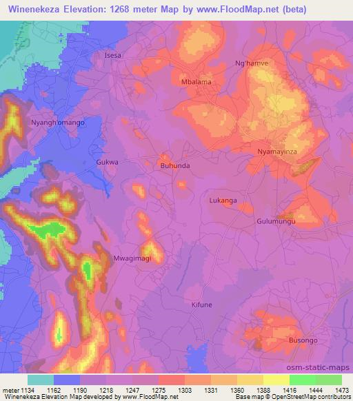 Winenekeza,Tanzania Elevation Map