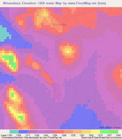 Winenekeza,Tanzania Elevation Map