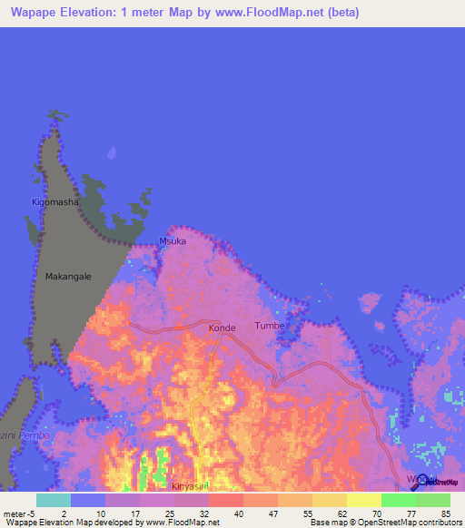 Wapape,Tanzania Elevation Map