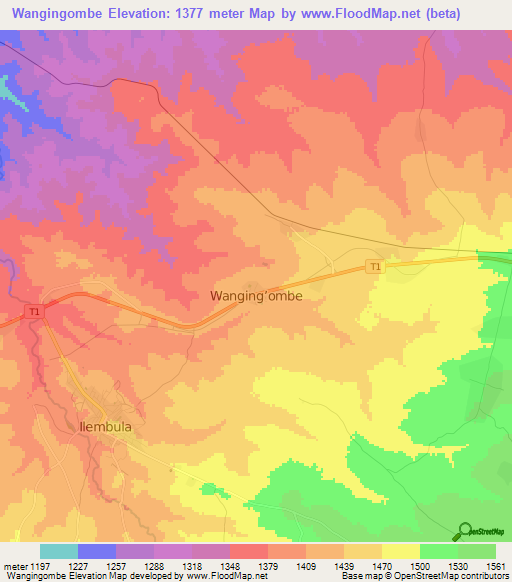 Wangingombe,Tanzania Elevation Map