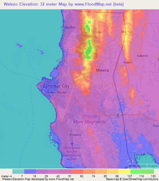 Walezo,Tanzania Elevation Map