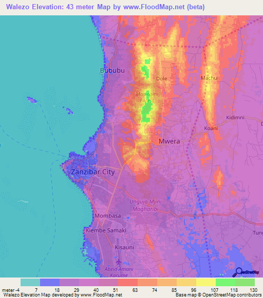 Walezo,Tanzania Elevation Map