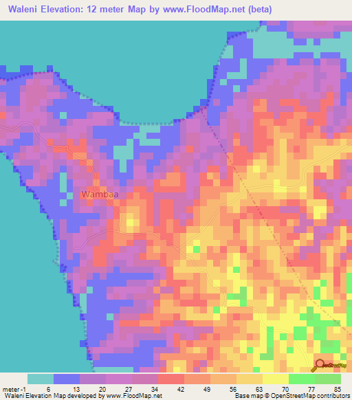 Waleni,Tanzania Elevation Map