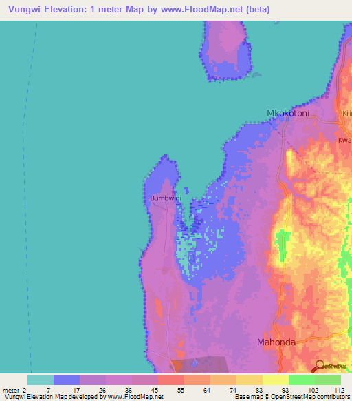 Vungwi,Tanzania Elevation Map