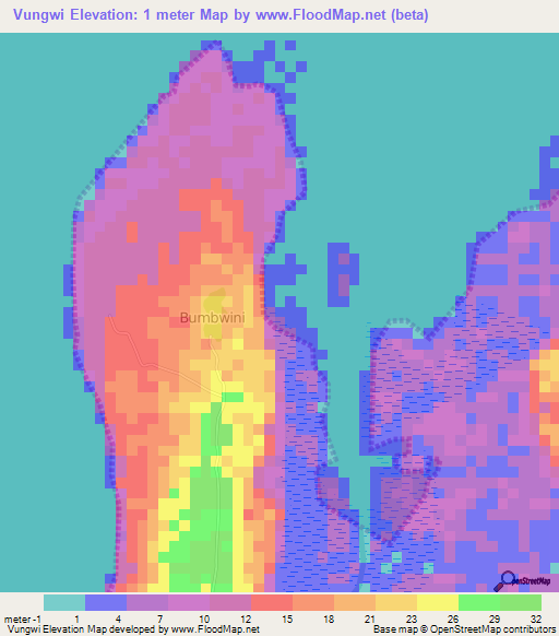 Vungwi,Tanzania Elevation Map