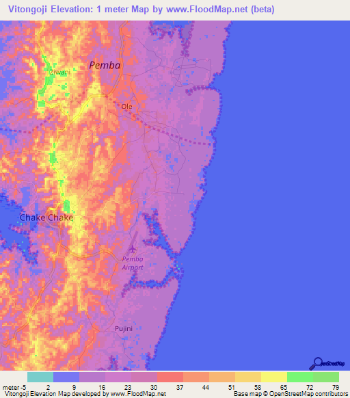 Vitongoji,Tanzania Elevation Map