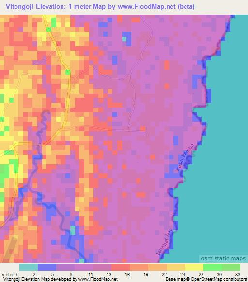 Vitongoji,Tanzania Elevation Map