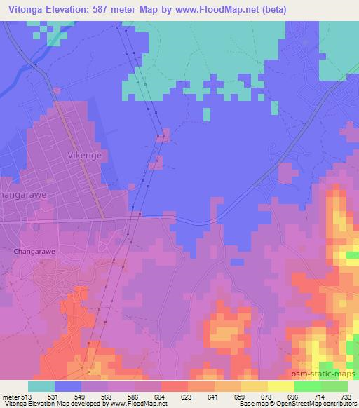 Vitonga,Tanzania Elevation Map