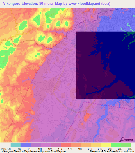 Vikongoro,Tanzania Elevation Map