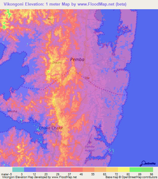 Vikongoni,Tanzania Elevation Map