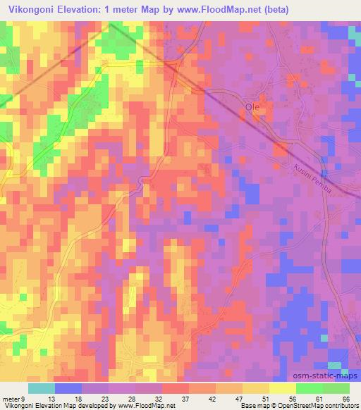 Vikongoni,Tanzania Elevation Map