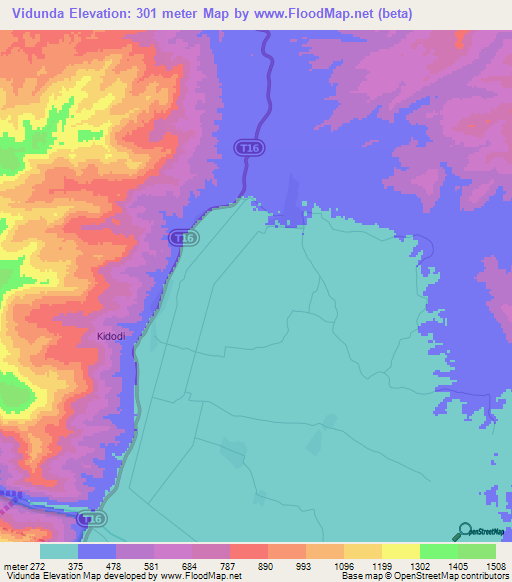 Vidunda,Tanzania Elevation Map