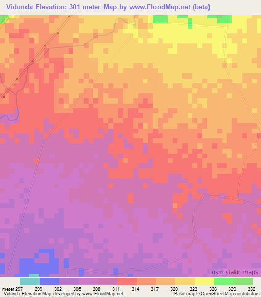 Vidunda,Tanzania Elevation Map