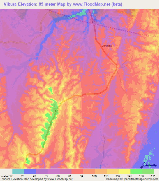 Vibura,Tanzania Elevation Map