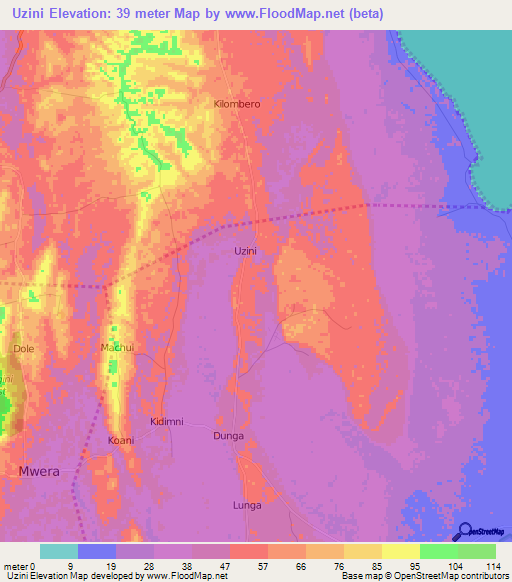 Uzini,Tanzania Elevation Map