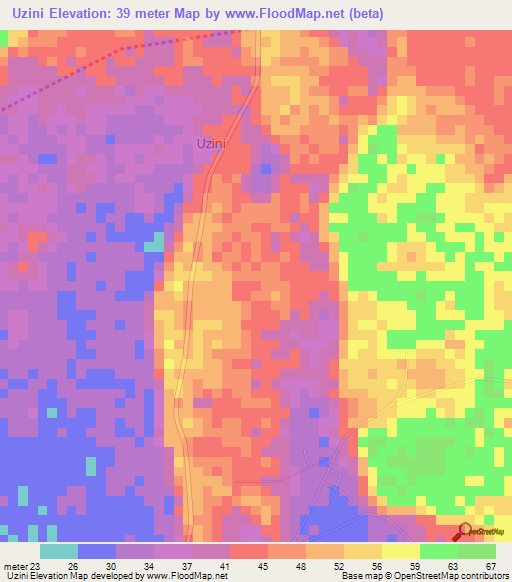 Uzini,Tanzania Elevation Map