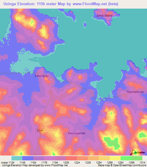 Uzinga,Tanzania Elevation Map